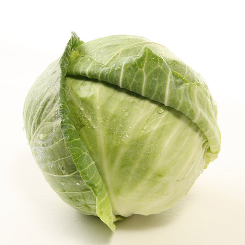 Junho Song Cabbage